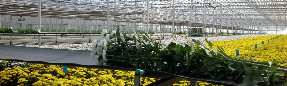 Cultivation supplies